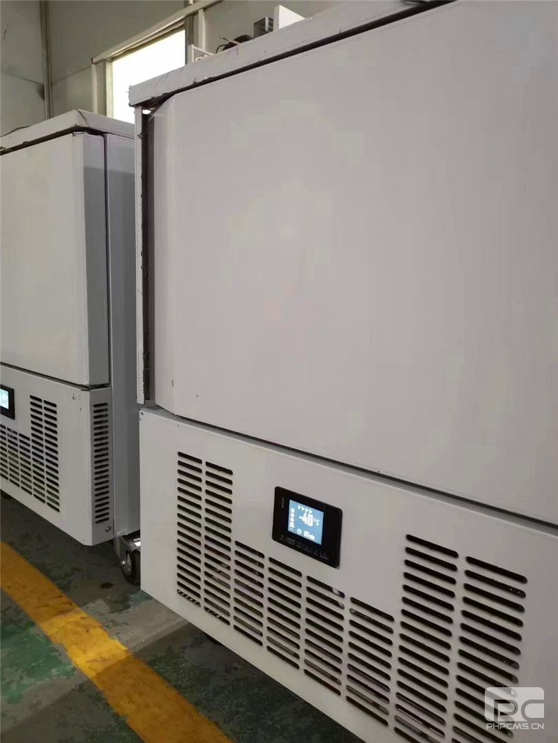 永州羊肉極速冷凍柜廠家