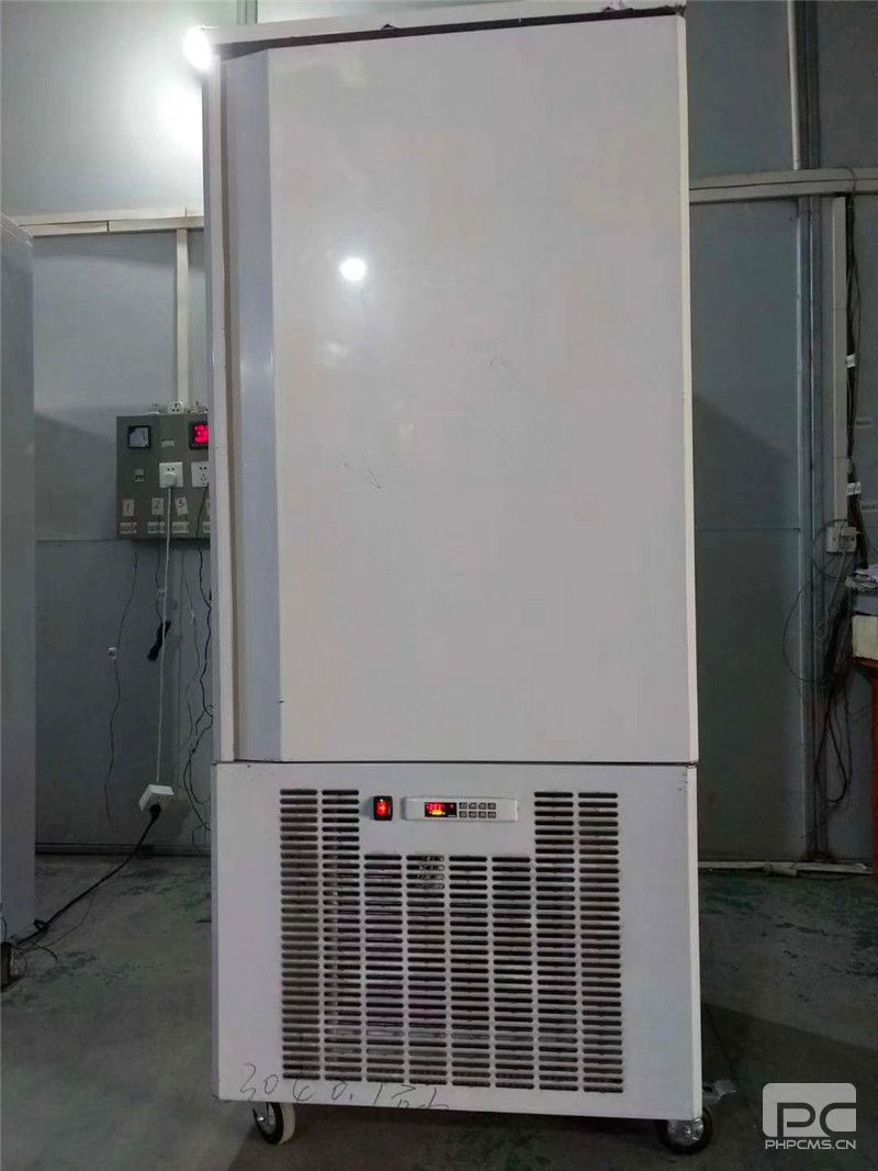阿勒泰蛋糕低溫速凍柜廠家